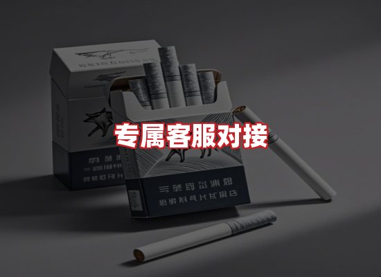 专业团队